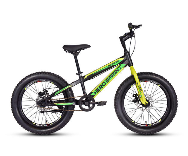 Hero Cycles Massive